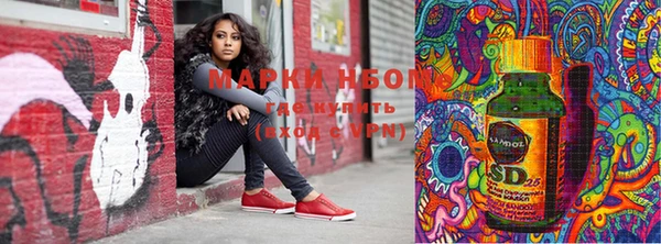 молекула духа Кулебаки